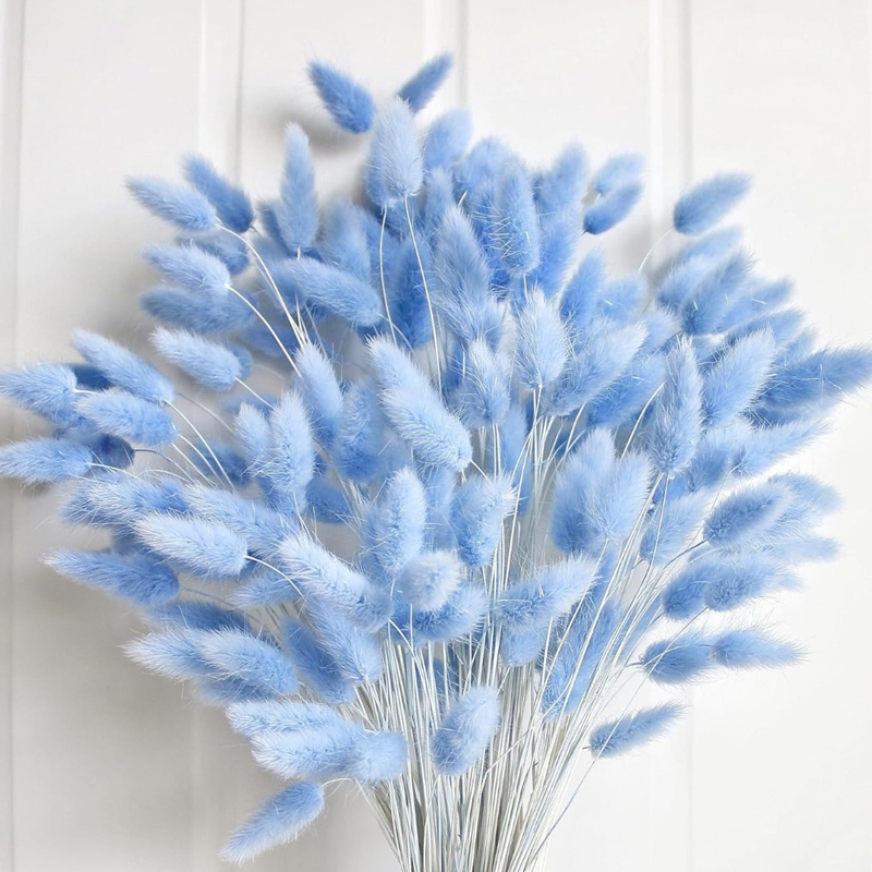 Pampas Grass Decor - 100PCS Blue Hare's-tail Grass Bunny Rabbit