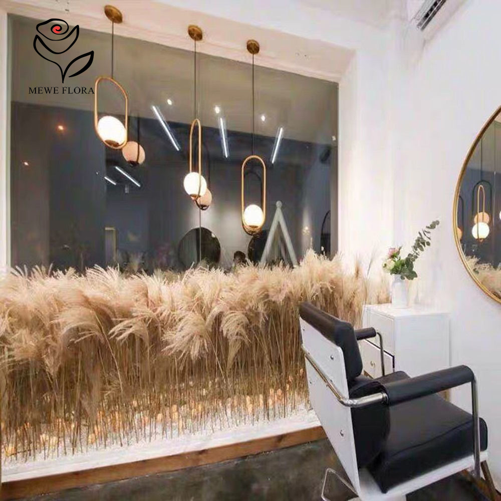 200PCS Natural Dried Fluffy Re - огляд і ціна Pampas Grass Decor