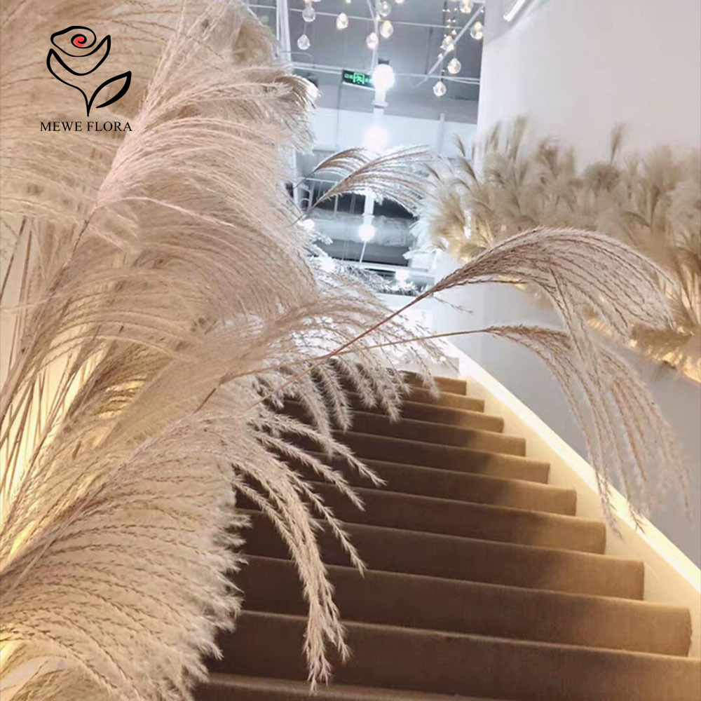 200PCS Natural Dried Fluffy Re - огляд і ціна Pampas Grass Decor