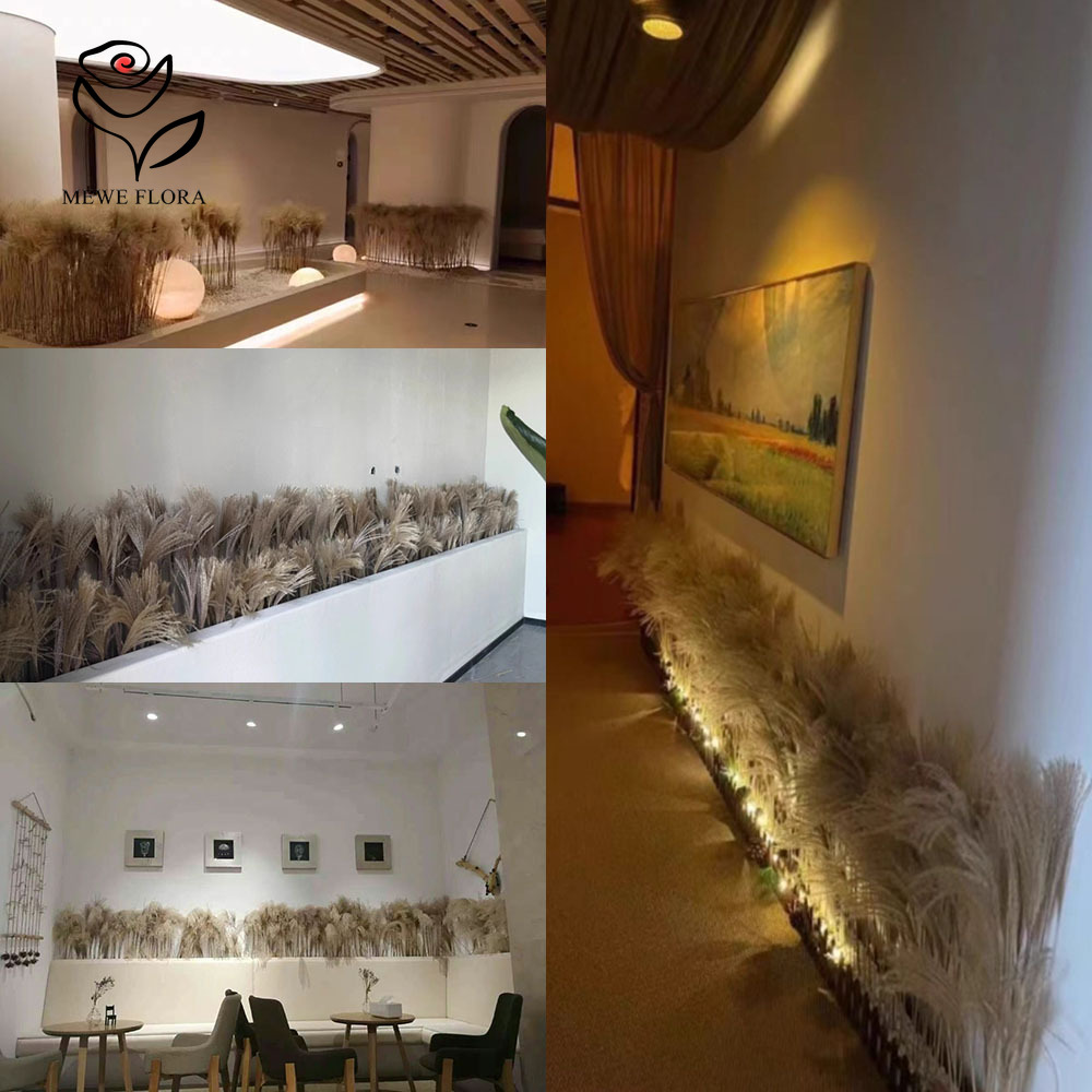 200PCS Natural Dried Fluffy Re - огляд і ціна Pampas Grass Decor