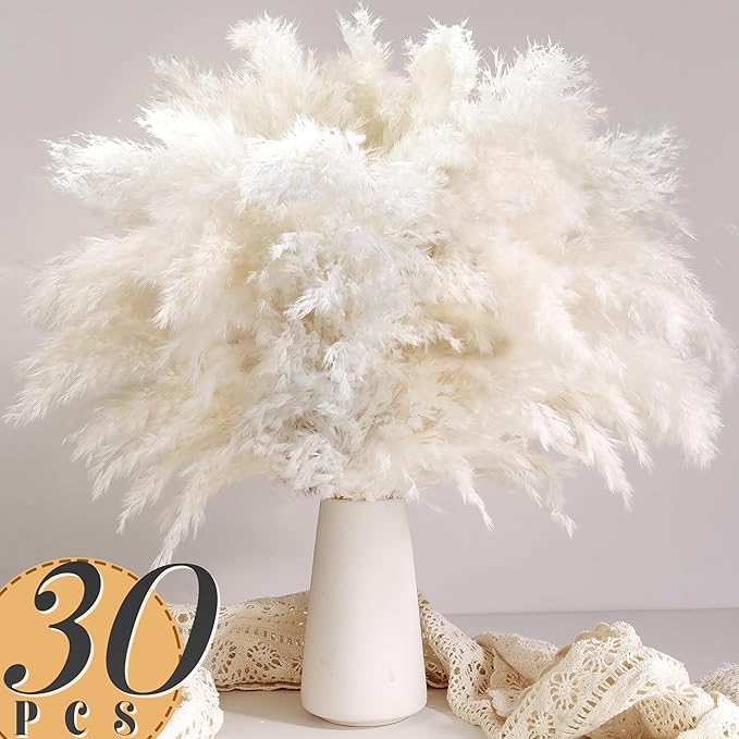 30PCS White Pampas Grass for H - огляд і ціна Pampas Grass Decor