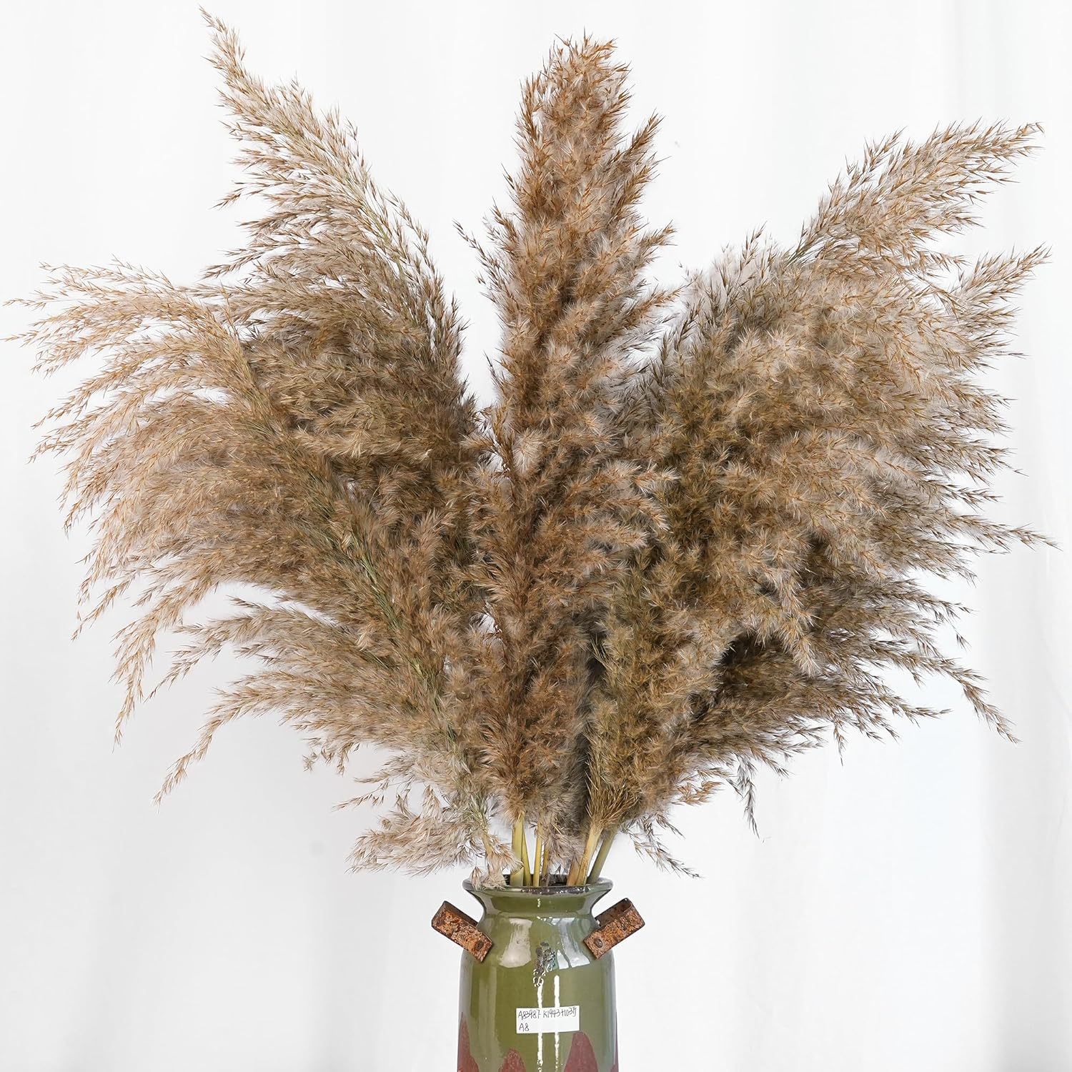 30PCS White Pampas Grass for H - огляд і ціна Pampas Grass Decor