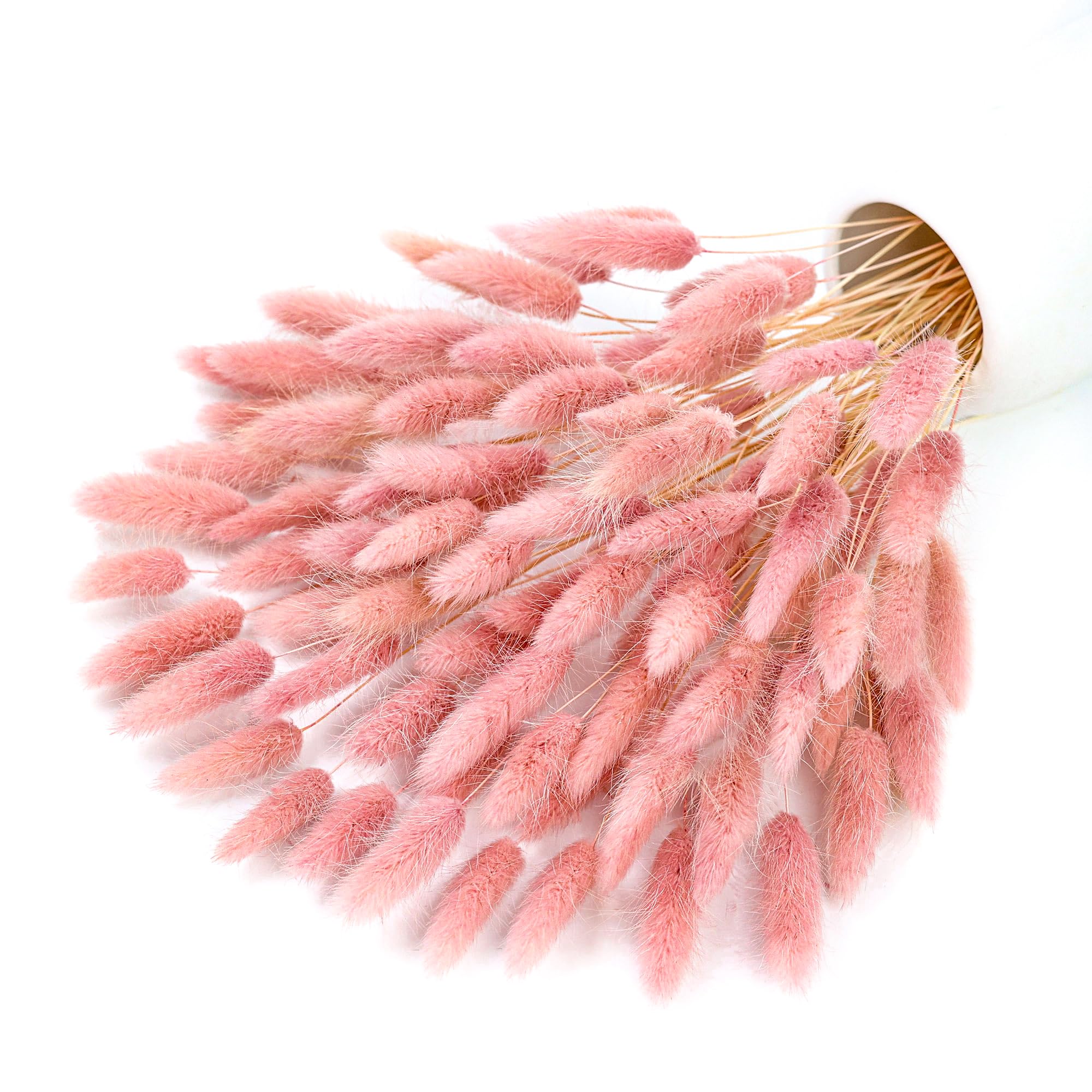 120 Stem Pink Dried Pampas Bun - огляд і ціна Pampas Grass Decor