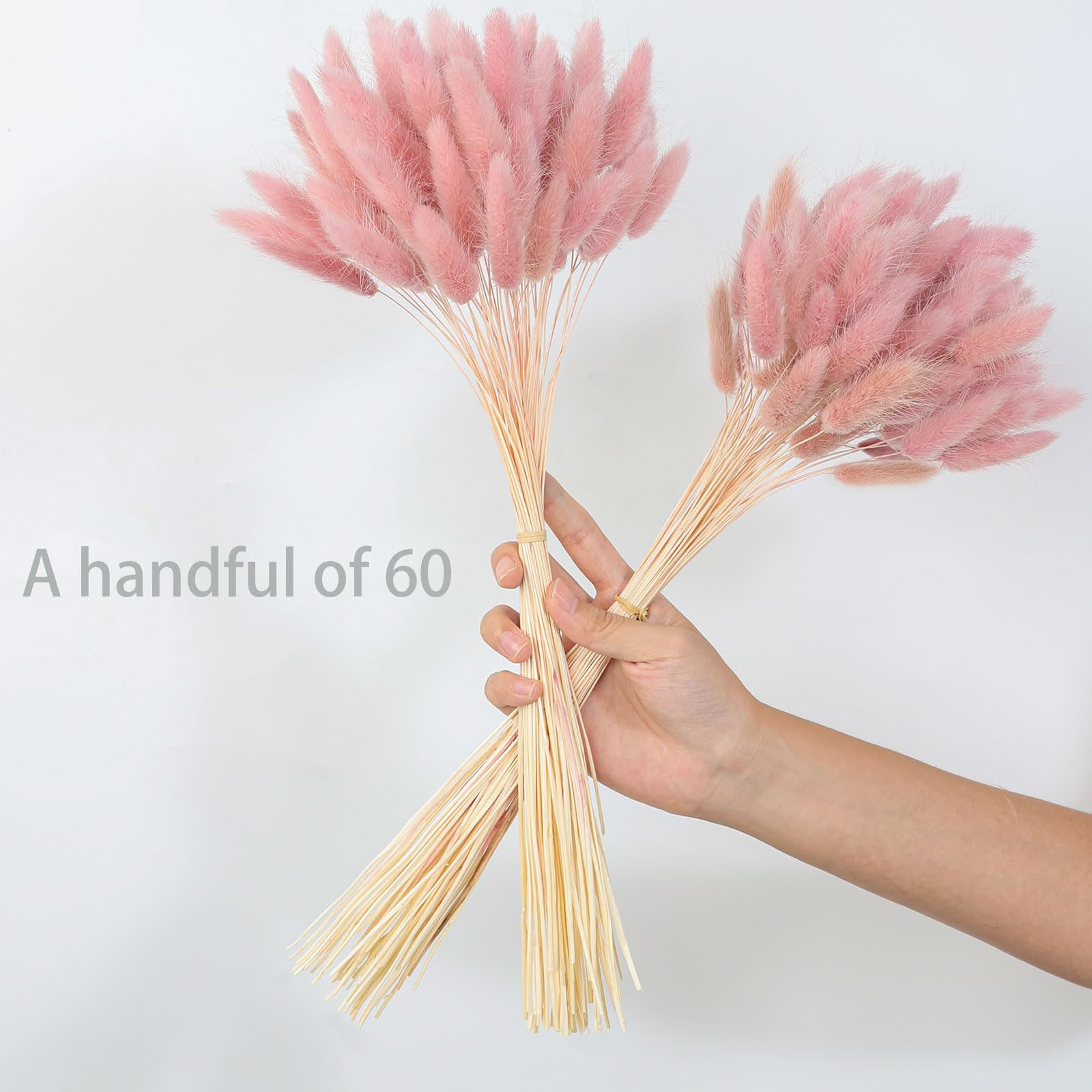 120 Stem Pink Dried Pampas Bun - огляд і ціна Pampas Grass Decor