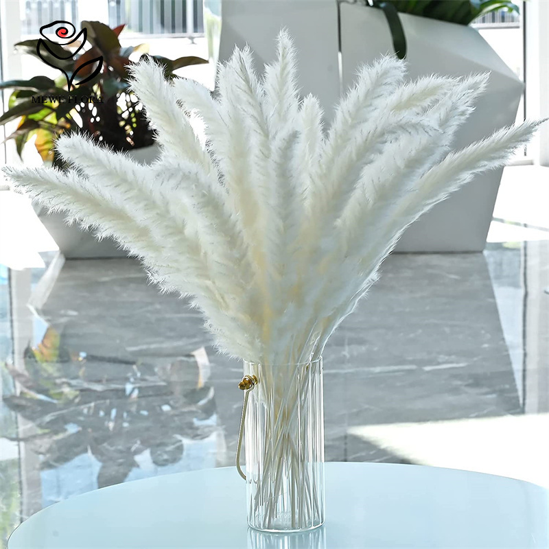 18 Stems Natural Dried Flowers - огляд і ціна Pampas Grass Decor