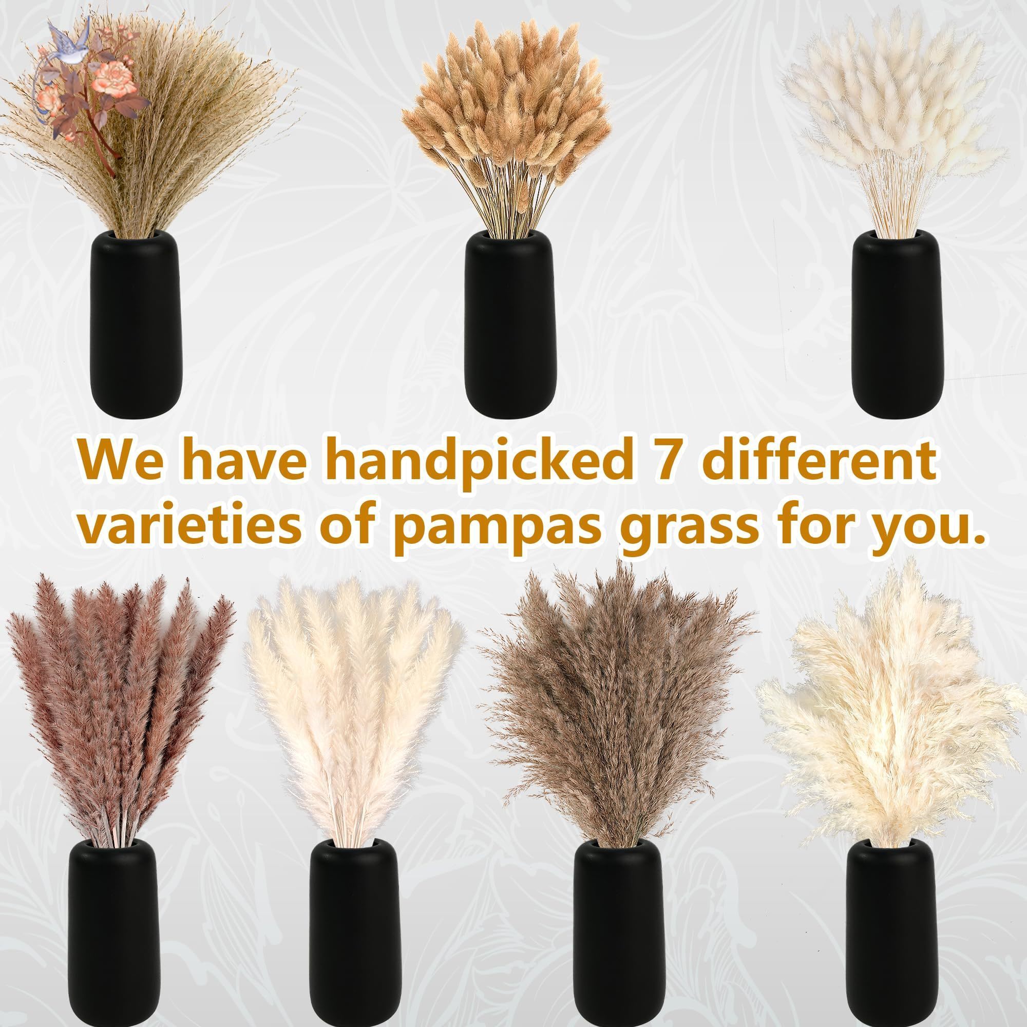 300Pcs Natural Large Pampas Gr - огляд і ціна Pampas Grass Decor