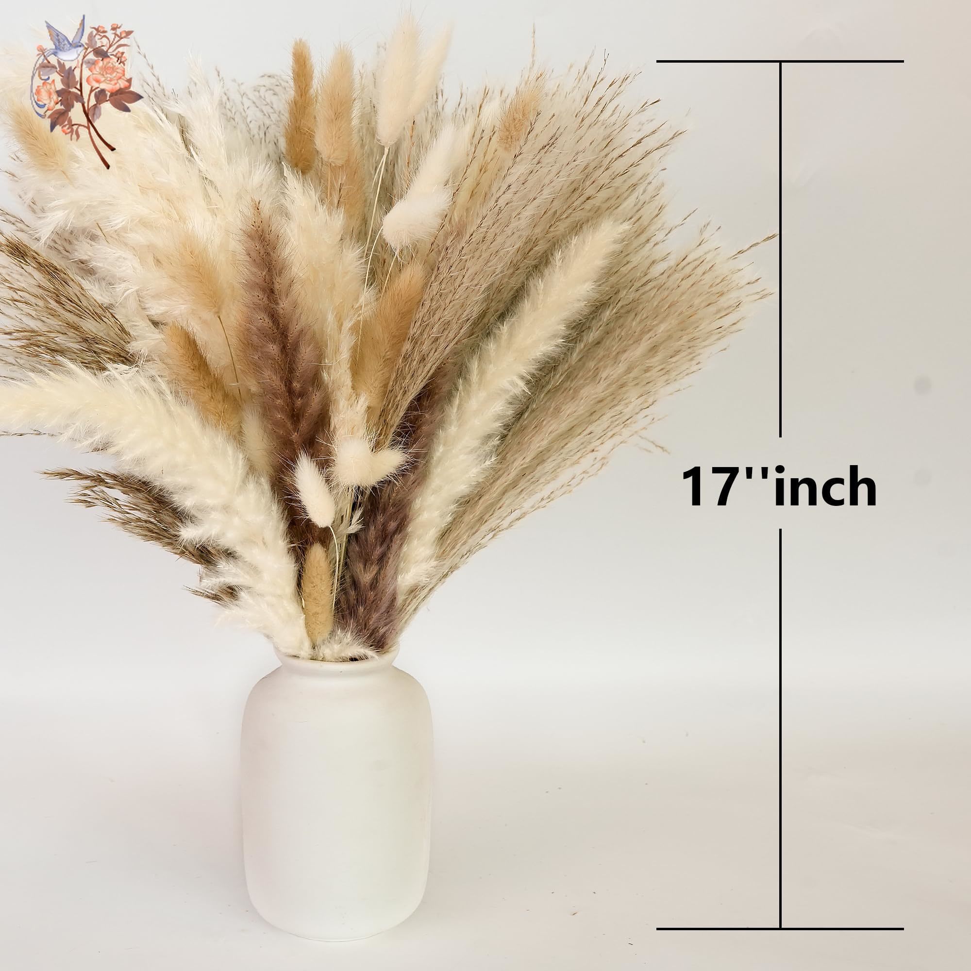 300Pcs Natural Large Pampas Gr - огляд і ціна Pampas Grass Decor