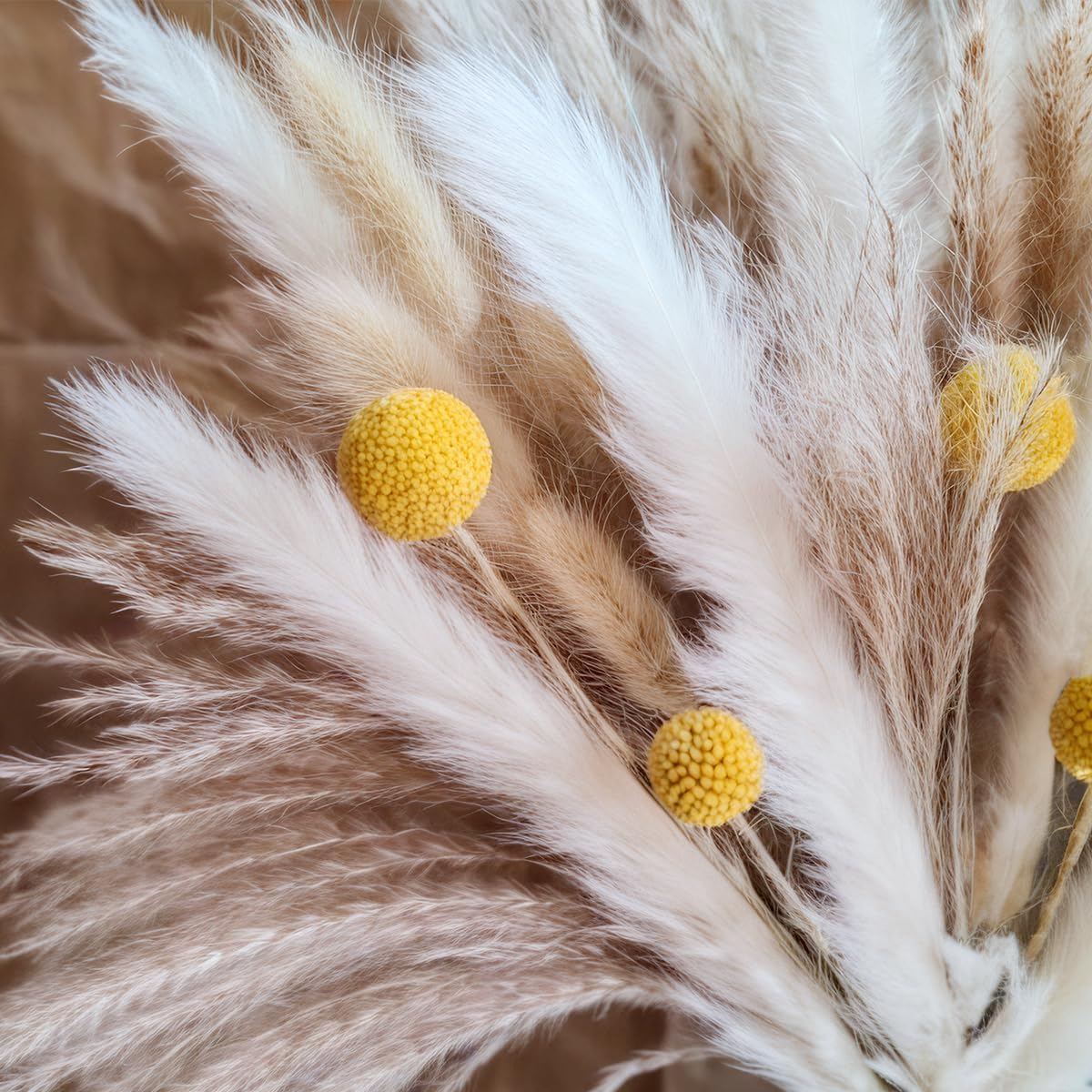 Dried Pampas Grass Bouquet Nat - огляд і ціна Pampas Grass Decor
