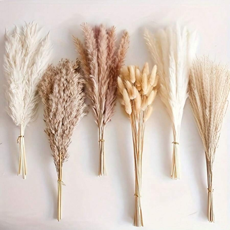 110pcs Dried Pampas Grass Bouq - огляд і ціна Pampas Grass Decor