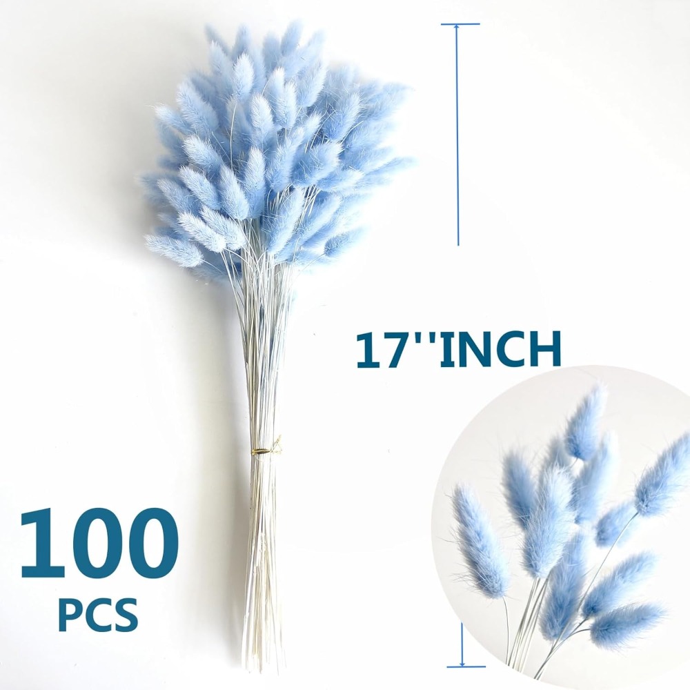 100PCS Blue Hare's-tail Grass  - огляд і ціна Pampas Grass Decor