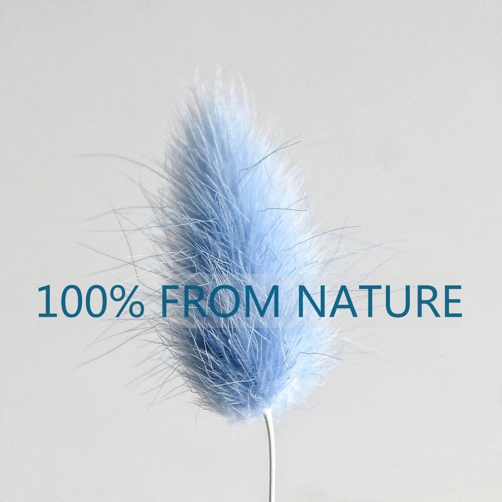 100PCS Blue Hare's-tail Grass  - огляд і ціна Pampas Grass Decor