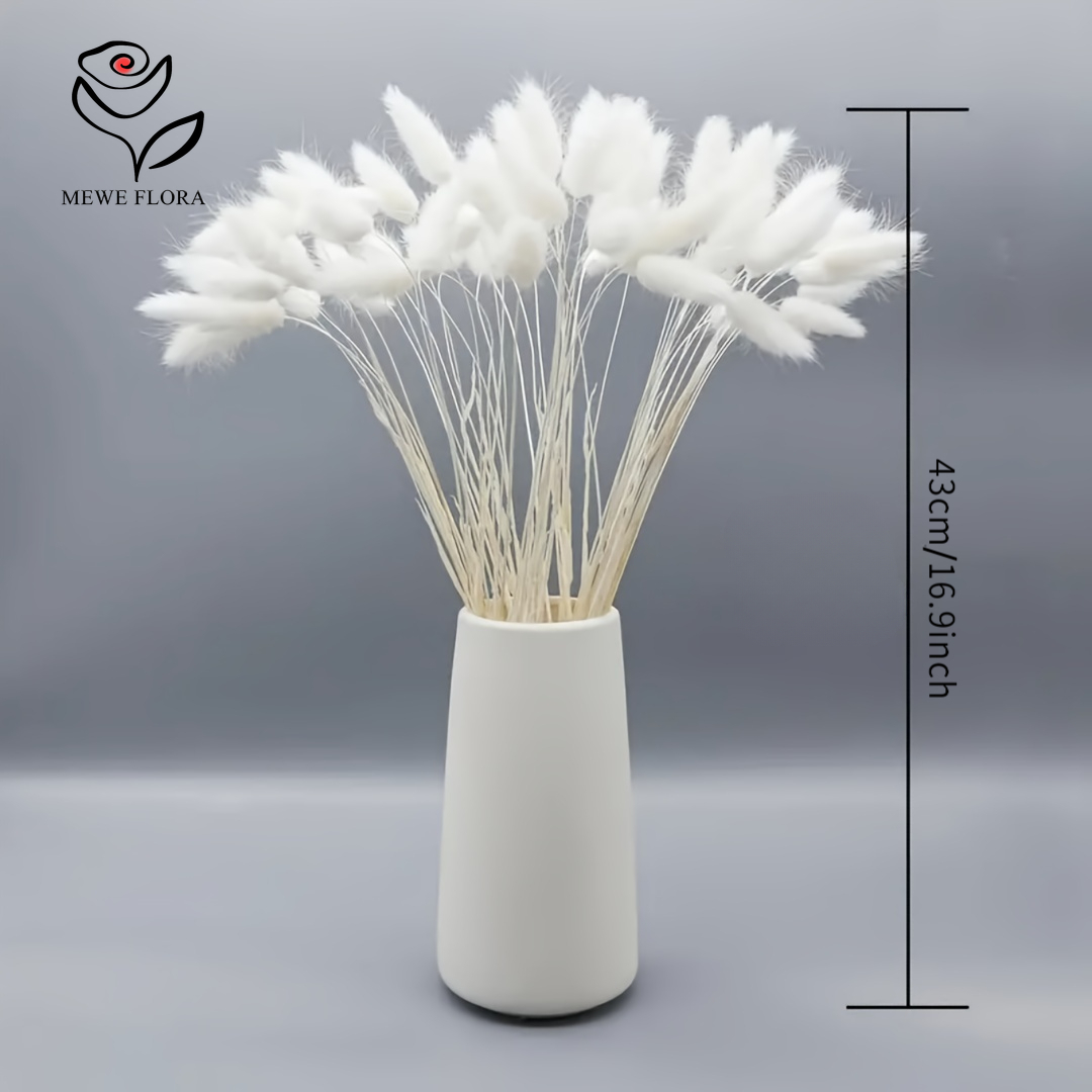 150PCS White Natural Fluffy Ra - огляд і ціна Pampas Grass Decor